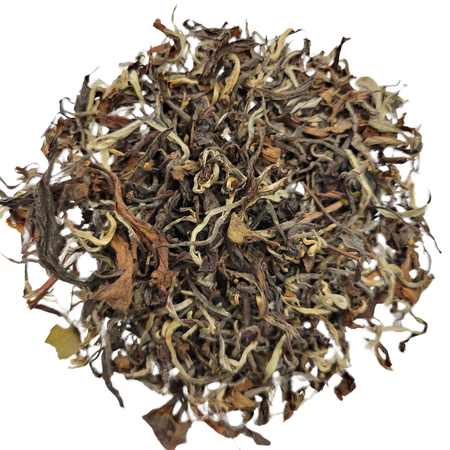 Margaret's Hope Oolong