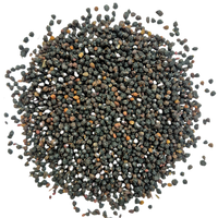 Thumbnail for Elderberries Whole - Organic from Bulgaria
