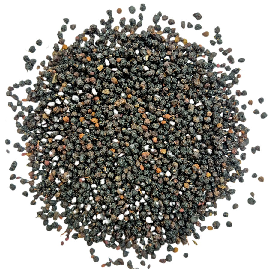 Elderberries Whole - Organic from Bulgaria